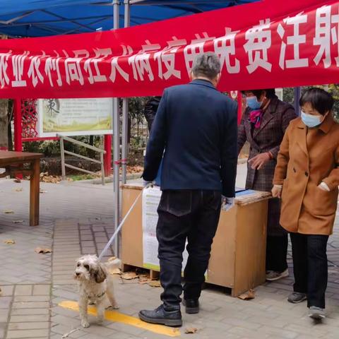 行者街道石油城社区联合临潼区农业农村局开展狂犬疫苗免费进社区活动