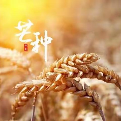 大二班小汤老师的美篇