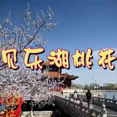 又见东湖桃花俏