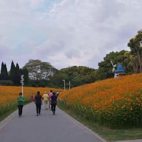 傍晚的灵石公园