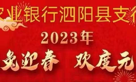 泗阳农行与台资企业及信贷合作外资客户开展元宵节联宜活动