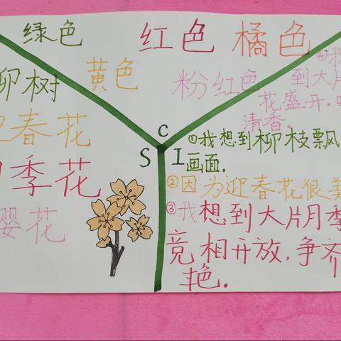 【德城区乾赵小学】一年级“植物”主题大探究