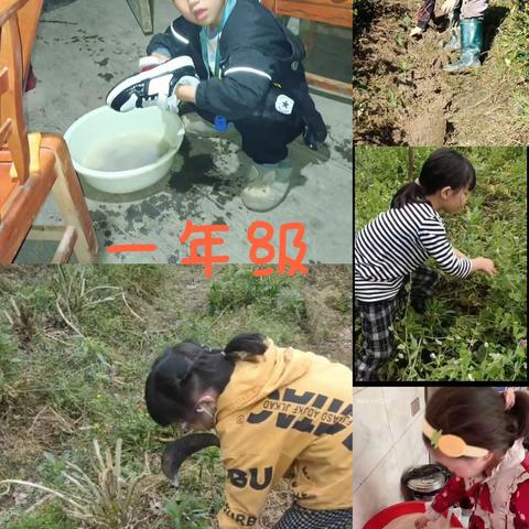 劳动的快乐说不尽