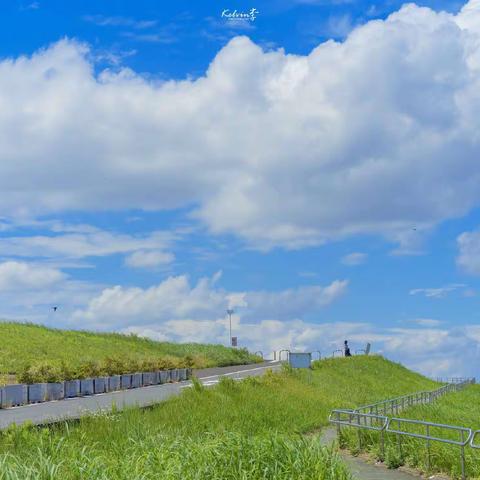 关于“五项管理”致家长的一封信