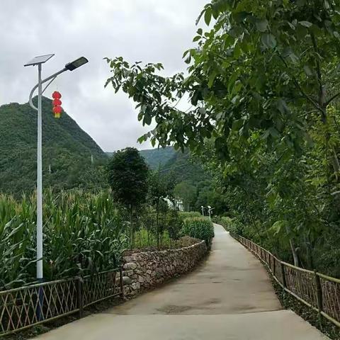 云盖寺镇7月15日农村人居环境整治工作情况