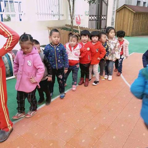 中一班11.8日一日活动流程(星期三)