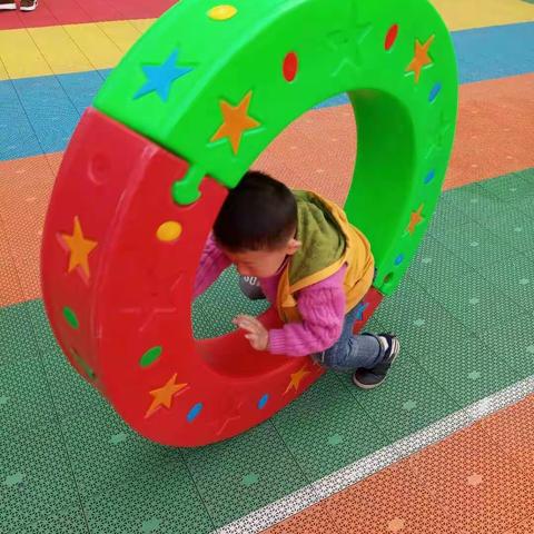 中一班11.2日一日活动流程(星期四)