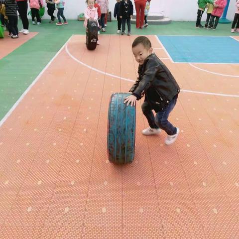 中一班11.3日一日活动流程(星期五)