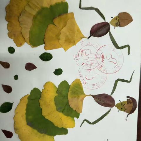 实验小学一七班树叶画展览
