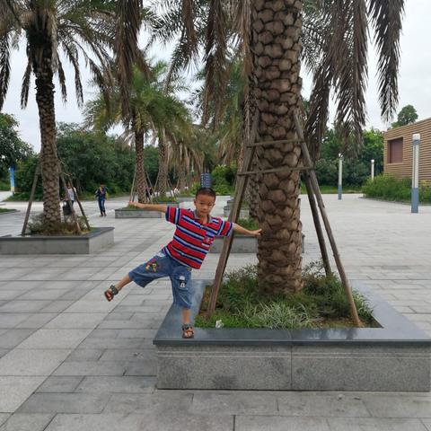 我的金色童年！！！