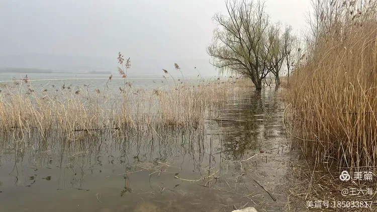 荣誉总编王海安受邀参加谍战电影《紧急送达》论证会(图2)