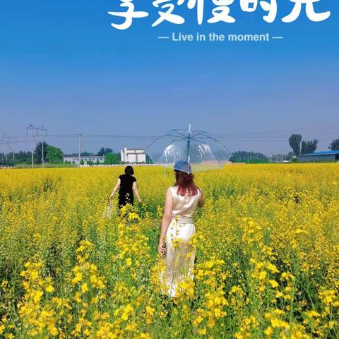 【每日一图挑战赛】第三十天