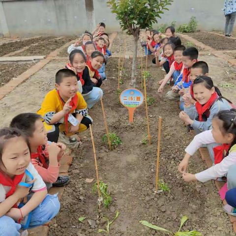 喜迎建党100周年 共筑劳动梦