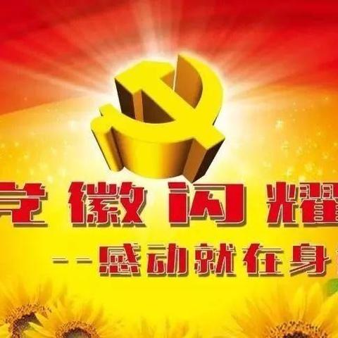 开展“党员政治生日”政治仪式，喜迎建党一百周年，掀起党史学习热潮活动