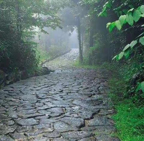 夏雨