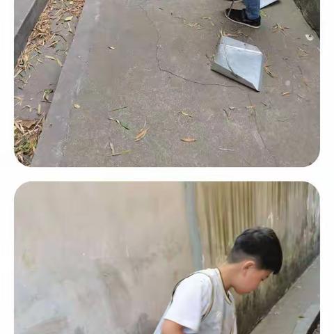 “清风扫落叶，学子净校园”——东渡小学劳动教育主题活动