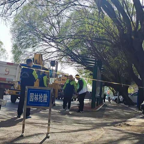 大树倒在公交站亭上，惊吓路人