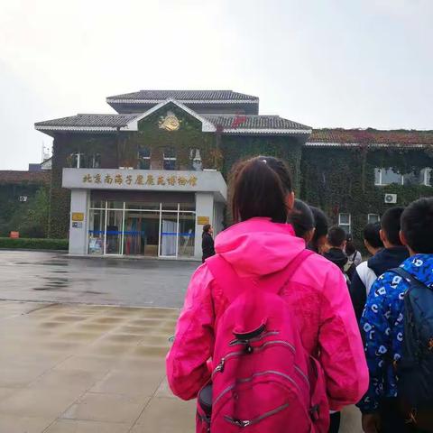 新城校区六一班实践活动之参观麋鹿苑