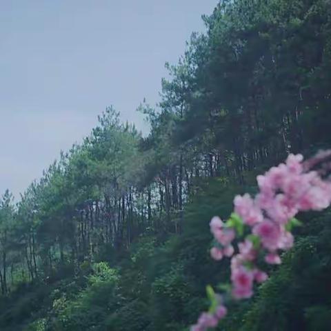 明光中心小学冬游野炊实践――培养学生团结合作自理能力