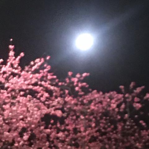 文案的催生