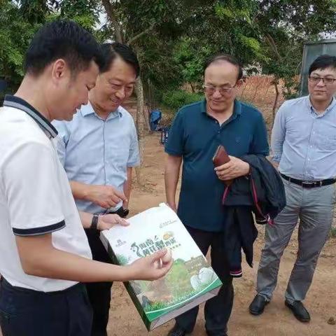 青岛市人大常委会到乐东调研考察