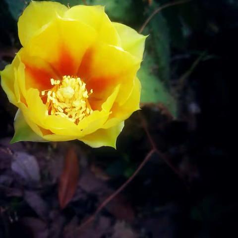 塔石小学第十二周值周记事