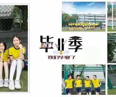 徐建军个人工作总结