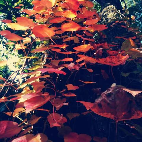 塔石小学第三周值周记事。