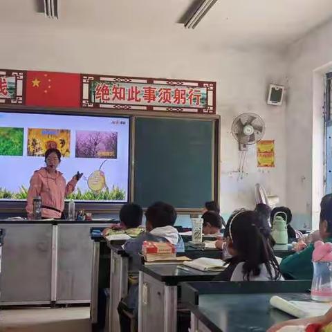 送课交流，互助成长《秋天的雨》教学反思