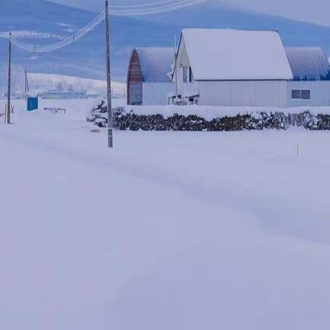 杜庄中学八（10）班《朗读者》活动初赛（中）