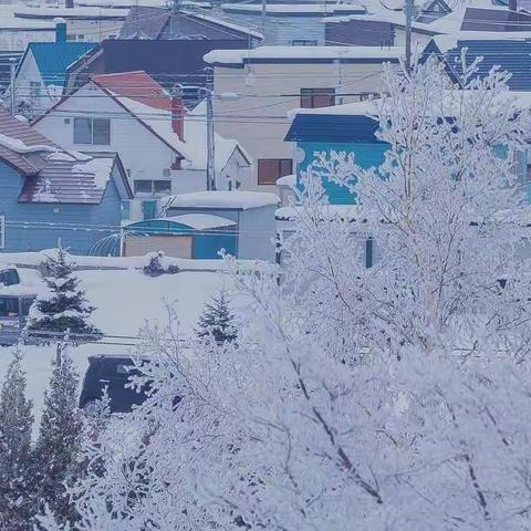 杜庄中学八（10）班《朗读者》活动初赛（下）