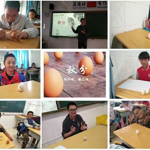 “秋分到，蛋儿俏，秋牛伴你欢声笑” ――七5班、九4班语文活动