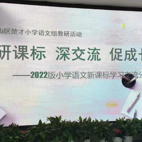 研课标，深交流，促成长—记楚才小学语文新课标学习