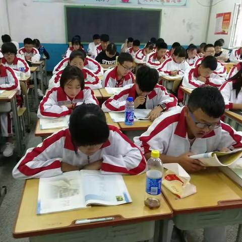 丰富多彩的高中生活