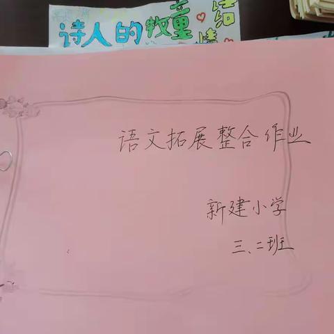 新建小学教导处常规作业检查