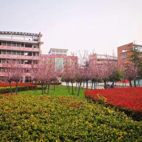 细雨润新蕊  师爱满人间——观高高二英语组为学子同心助力