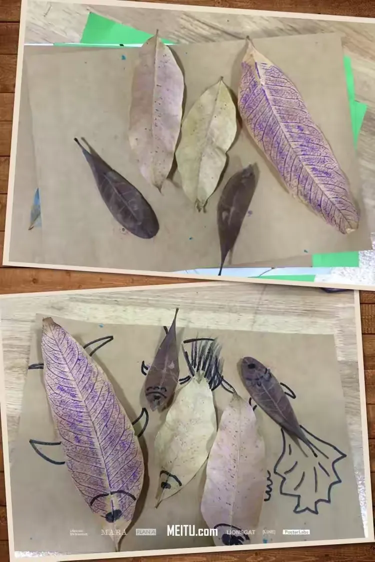 好多好多树叶鱼