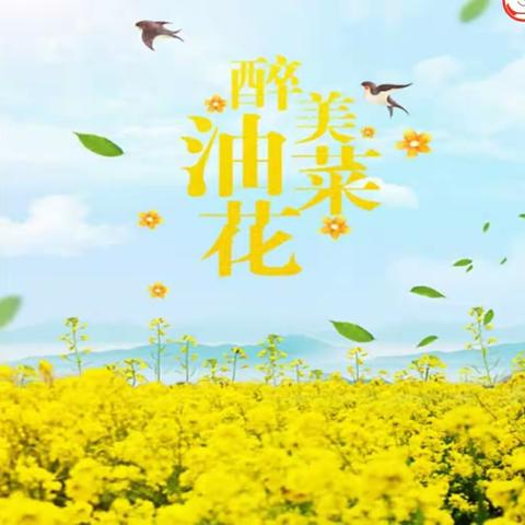 天才幼儿园朵朵三班创意美术《油菜花》