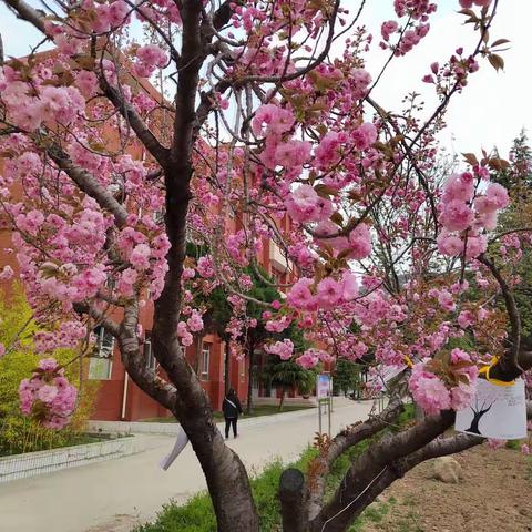 我是快乐的劳动人