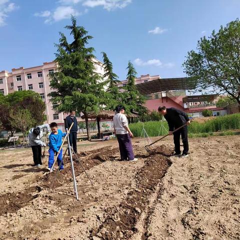 学垄地        记王家河街道办事处中心小学劳动实践活动实
