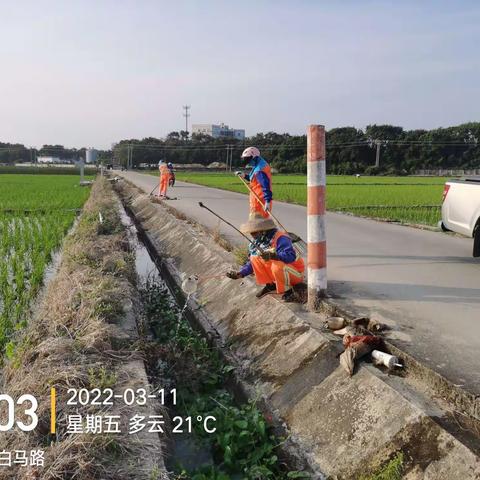 2022.3.11工作汇报