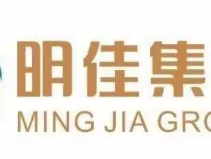2022年12月16日明佳集团天涯分公司针对凤凰片精品路线环境卫生整治工作情况汇报