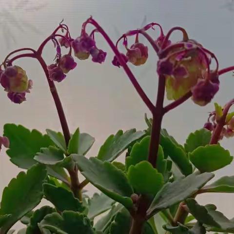 点点滴滴，都是成长（4）