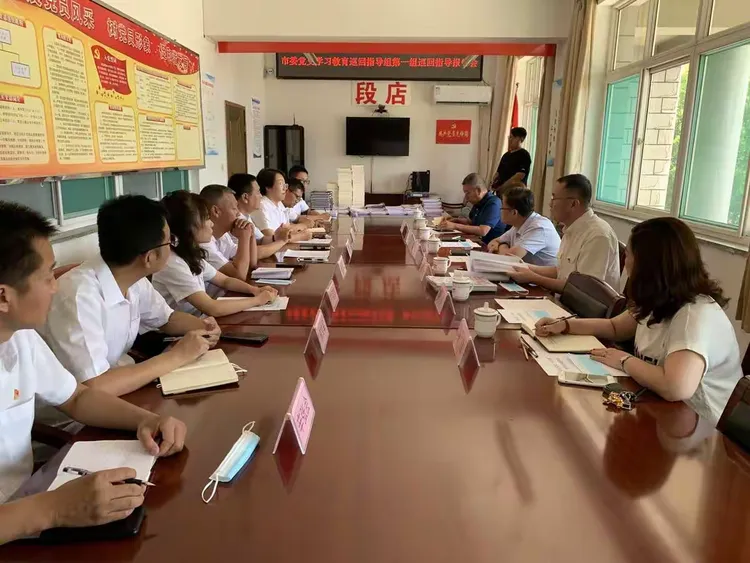 市委党史学习教育巡回指导组深入段店乡开展巡回指导