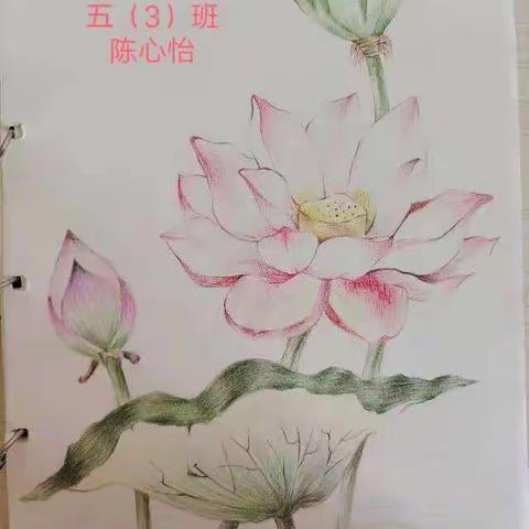 让优秀成为一种习惯 ——泗洪县人民路小学五年级第五周“暑期好作业”展示