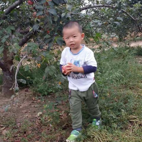 乐乐的成长瞬间