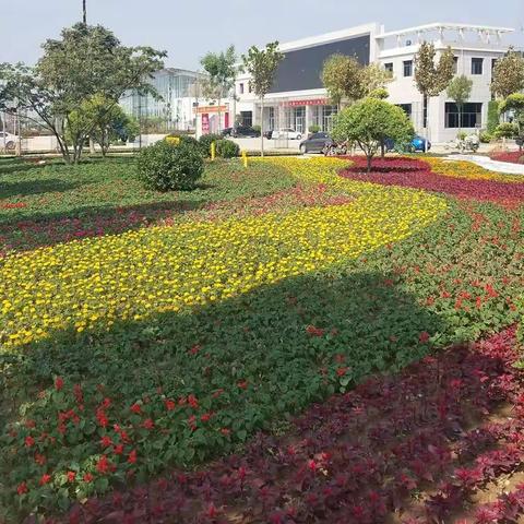 相约花博，美丽商河！