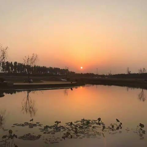 赏花赏月，来商河！