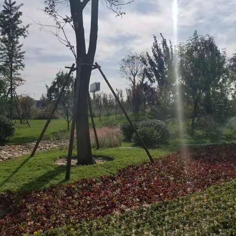 相约花博，美丽商河！