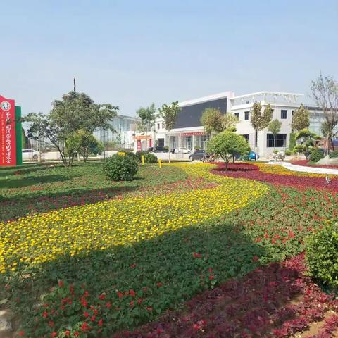 相约花博，最美商河！